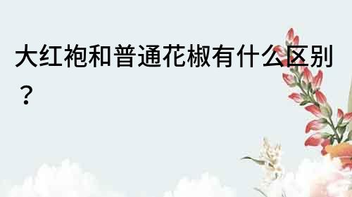 大紅袍和普通花椒有什么區別？