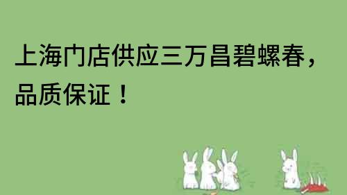 上海門店供應(yīng)三萬昌碧螺春，品質(zhì)保證！