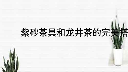 紫砂茶具和龍井茶的完美搭配