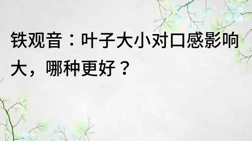 鐵觀音：葉子大小對口感影響大，哪種更好？