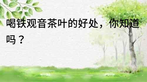 喝鐵觀音茶葉的好處，你知道嗎？