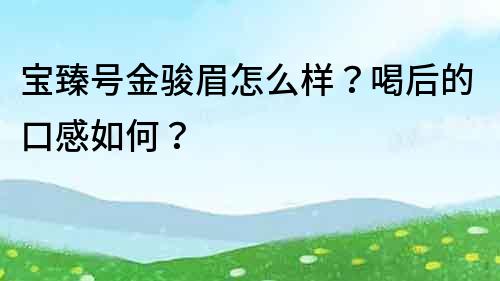 寶臻號金駿眉怎么樣？喝后的口感如何？