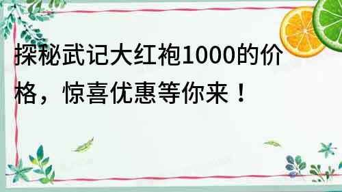 探秘武記大紅袍1000的價格，驚喜優惠等你來！