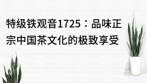 特級鐵觀音1725：品味正宗中國茶文化的極致享受