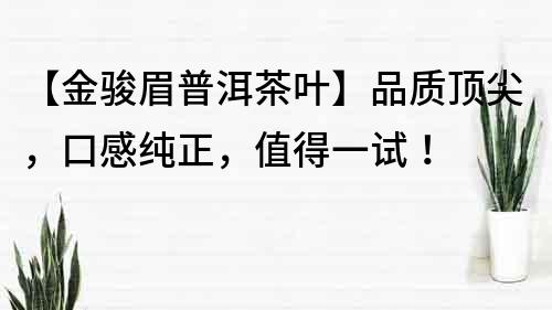 【金駿眉普洱茶葉】品質頂尖，口感純正，值得一試！
