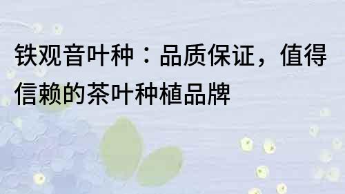 鐵觀音葉種：品質(zhì)保證，值得信賴的茶葉種植品牌