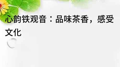 心韻鐵觀音：品味茶香，感受文化