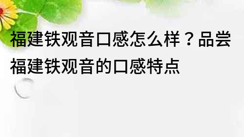福建鐵觀音口感怎么樣？品嘗福建鐵觀音的口感特點