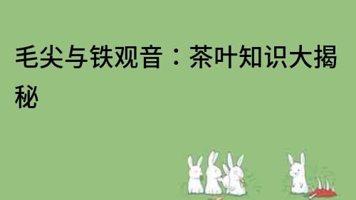 毛尖與鐵觀音：茶葉知識大揭秘