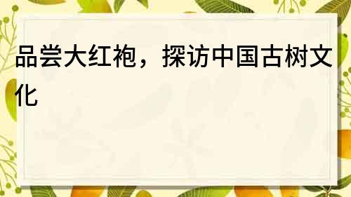 品嘗大紅袍，探訪中國古樹文化