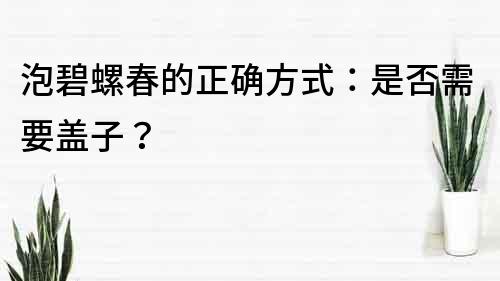 泡碧螺春的正確方式：是否需要蓋子？