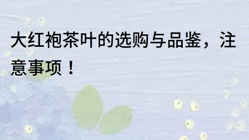 大紅袍茶葉的選購(gòu)與品鑒，注意事項(xiàng)！