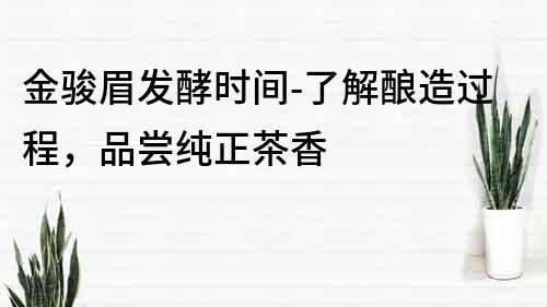 金駿眉發(fā)酵時(shí)間-了解釀造過程，品嘗純正茶香