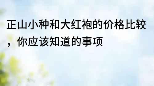 正山小種和大紅袍的價格比較，你應該知道的事項