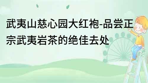 武夷山慈心園大紅袍-品嘗正宗武夷巖茶的絕佳去處