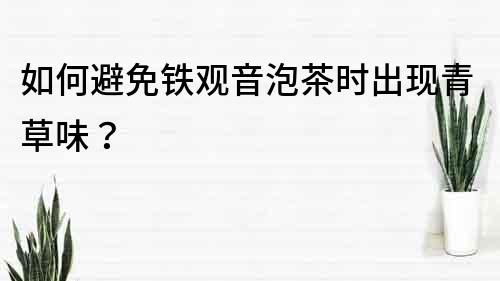 如何避免鐵觀音泡茶時出現(xiàn)青草味？