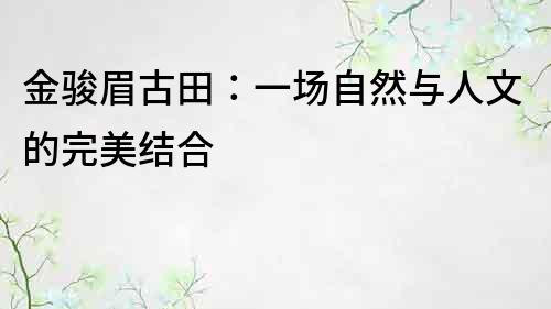 金駿眉古田：一場自然與人文的完美結合