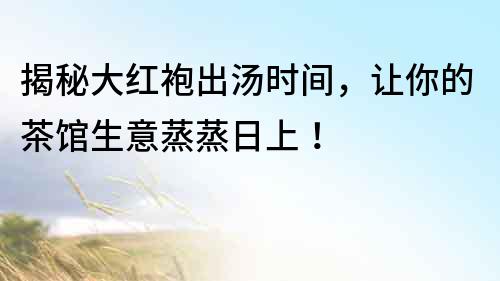 揭秘大紅袍出湯時間，讓你的茶館生意蒸蒸日上！