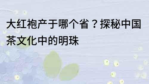 大紅袍產于哪個省？探秘中國茶文化中的明珠