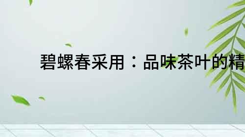 碧螺春采用：品味茶葉的精髓