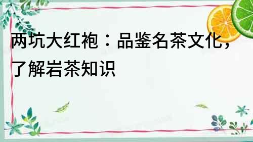 兩坑大紅袍：品鑒名茶文化，了解巖茶知識
