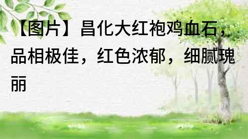 【圖片】昌化大紅袍雞血石，品相極佳，紅色濃郁，細膩瑰麗