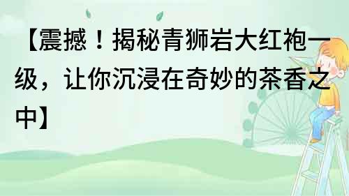 【震撼！揭秘青獅巖大紅袍一級(jí)，讓你沉浸在奇妙的茶香之中】