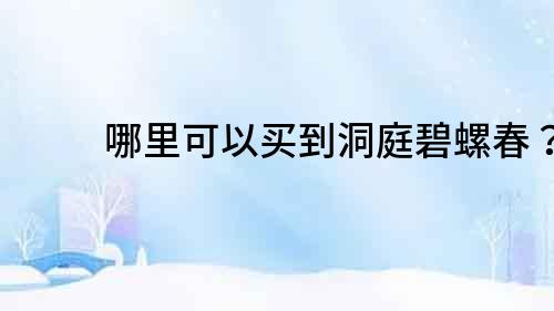 哪里可以買到洞庭碧螺春？
