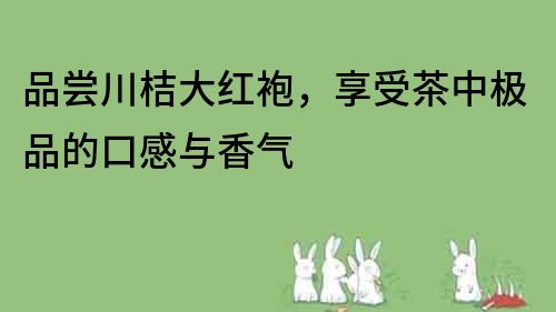 品嘗川桔大紅袍，享受茶中極品的口感與香氣
