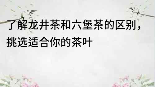 了解龍井茶和六堡茶的區別，挑選適合你的茶葉