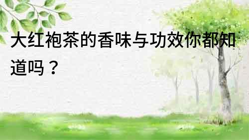 大紅袍茶的香味與功效你都知道嗎？