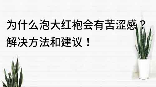 為什么泡大紅袍會有苦澀感？解決方法和建議！