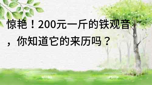 驚艷！200元一斤的鐵觀音，你知道它的來歷嗎？