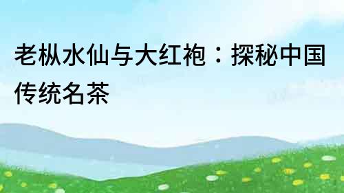 老樅水仙與大紅袍：探秘中國(guó)傳統(tǒng)名茶