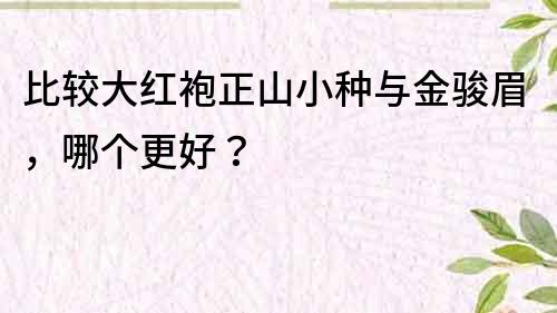 比較大紅袍正山小種與金駿眉，哪個更好？