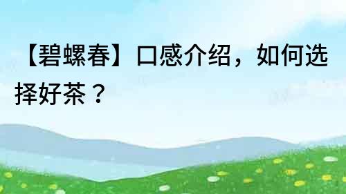 【碧螺春】口感介紹，如何選擇好茶？