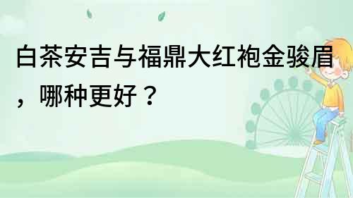 白茶安吉與福鼎大紅袍金駿眉，哪種更好？
