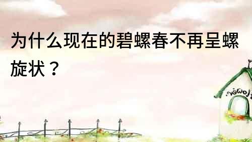 為什么現在的碧螺春不再呈螺旋狀？