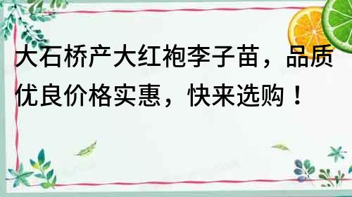 大石橋產大紅袍李子苗，品質優良價格實惠，快來選購！