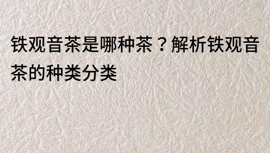鐵觀音茶是哪種茶？解析鐵觀音茶的種類分類