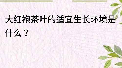 大紅袍茶葉的適宜生長環(huán)境是什么？
