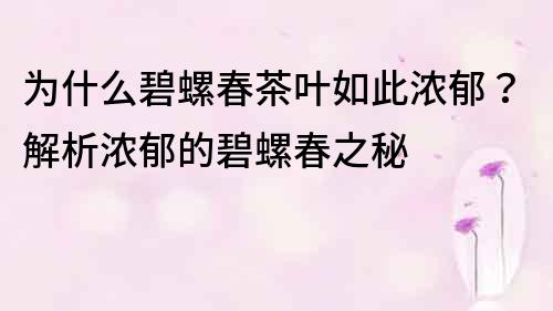 為什么碧螺春茶葉如此濃郁？解析濃郁的碧螺春之秘