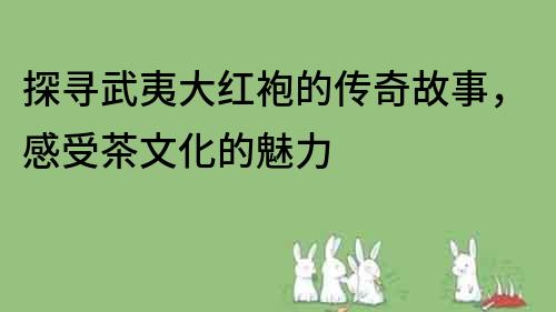 探尋武夷大紅袍的傳奇故事，感受茶文化的魅力