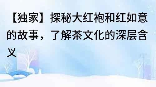 【獨家】探秘大紅袍和紅如意的故事，了解茶文化的深層含義