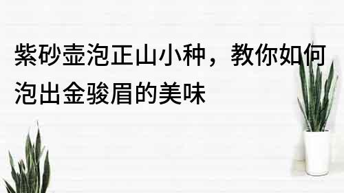 紫砂壺泡正山小種，教你如何泡出金駿眉的美味
