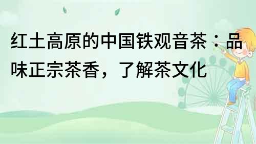 紅土高原的中國鐵觀音茶：品味正宗茶香，了解茶文化
