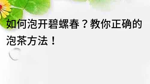 如何泡開碧螺春？教你正確的泡茶方法！