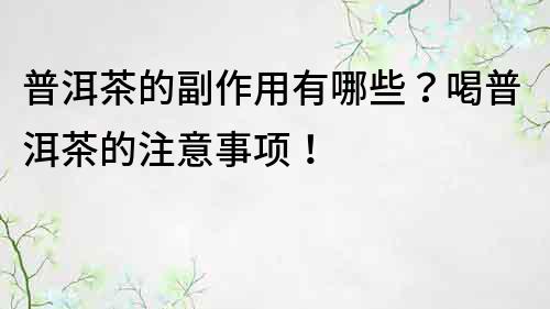 普洱茶的副作用有哪些？喝普洱茶的注意事項！