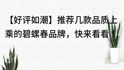 【好評如潮】推薦幾款品質上乘的碧螺春品牌，快來看看！