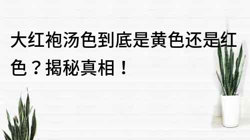 大紅袍湯色到底是黃色還是紅色？揭秘真相！